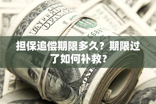 济南担保追偿期限多久？期限过了如何补救？